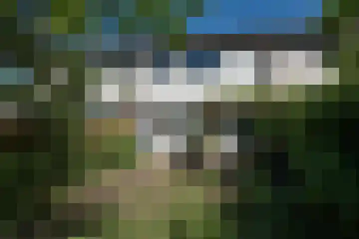 Laan van het Kwekebos 257 Emmen thumbnail 35