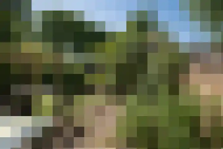 Laan van het Kwekebos 257 Emmen thumbnail 36