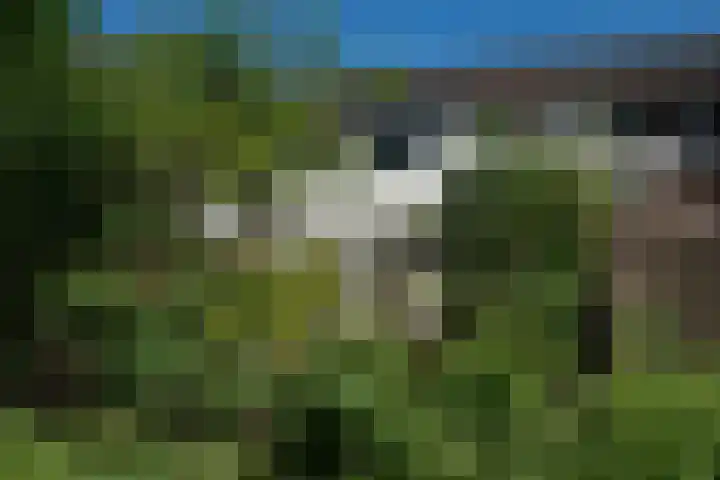Laan van het Kwekebos 257 Emmen thumbnail 37