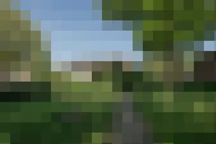 Laan van het Kwekebos 257 Emmen thumbnail 38