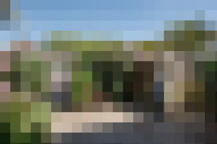 Laan van het Kwekebos 257 Emmen thumbnail 39