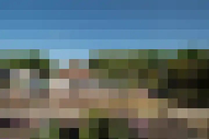 Laan van het Kwekebos 257 Emmen thumbnail 41