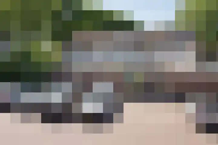 Laan van het Kwekebos 257 Emmen thumbnail 6