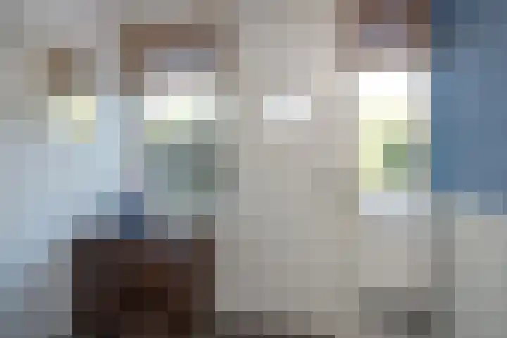 Laan van het Kwekebos 257 Emmen thumbnail 7
