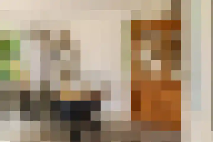 Laan van het Kwekebos 263 Emmen thumbnail 10