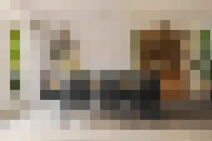 Laan van het Kwekebos 263 Emmen thumbnail 11
