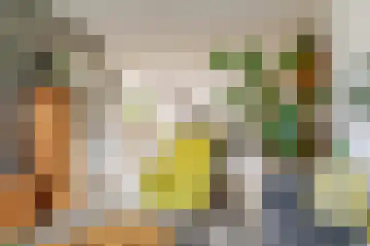 Laan van het Kwekebos 263 Emmen thumbnail 12