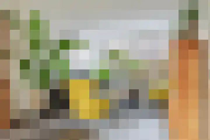 Laan van het Kwekebos 263 Emmen thumbnail 13