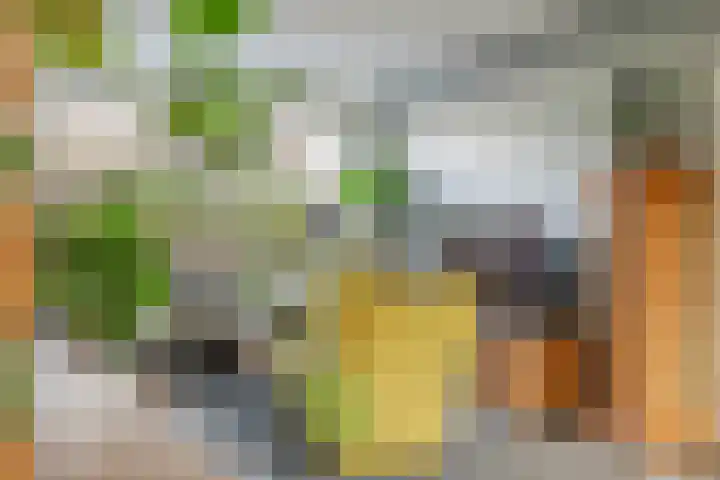Laan van het Kwekebos 263 Emmen thumbnail 14