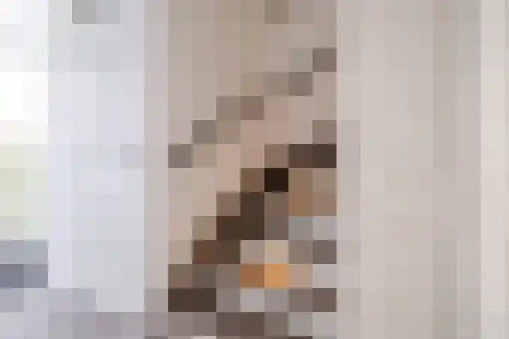 Laan van het Kwekebos 263 Emmen thumbnail 18