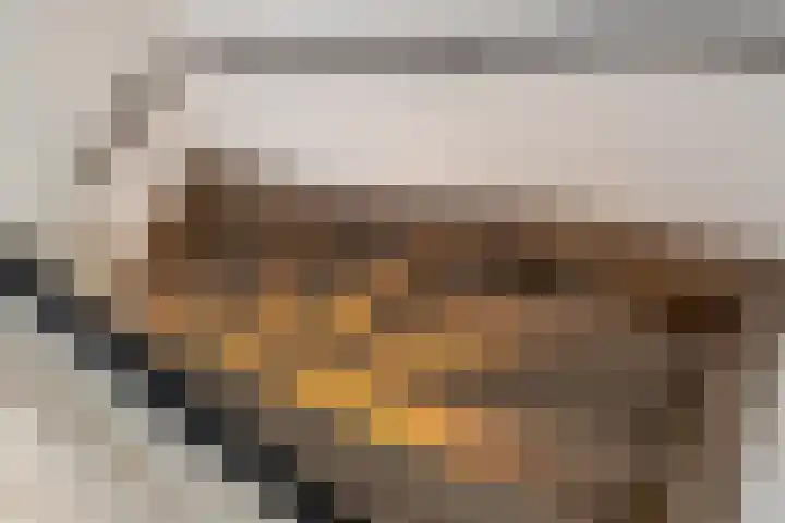 Laan van het Kwekebos 263 Emmen thumbnail 19