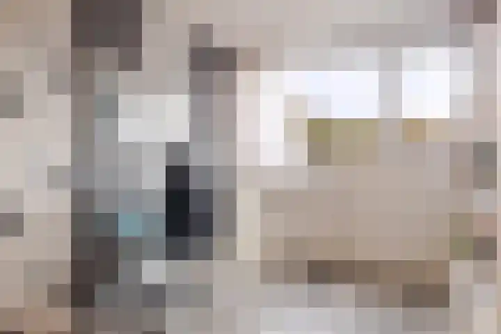 Laan van het Kwekebos 263 Emmen thumbnail 21