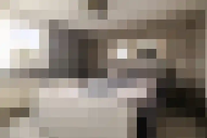 Laan van het Kwekebos 263 Emmen thumbnail 22