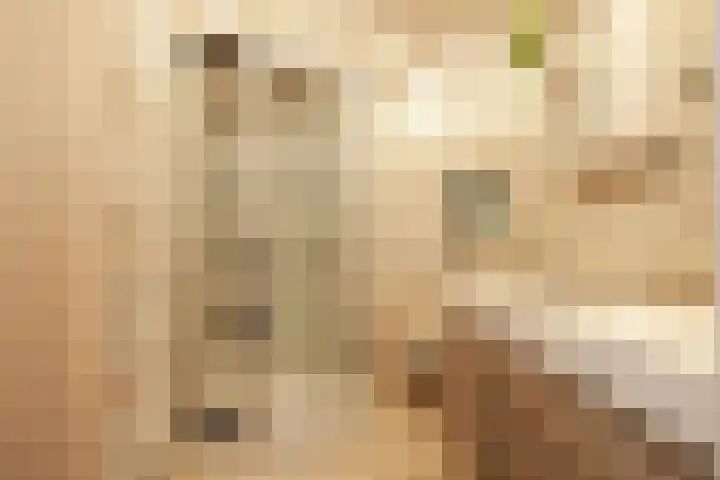 Laan van het Kwekebos 263 Emmen thumbnail 29
