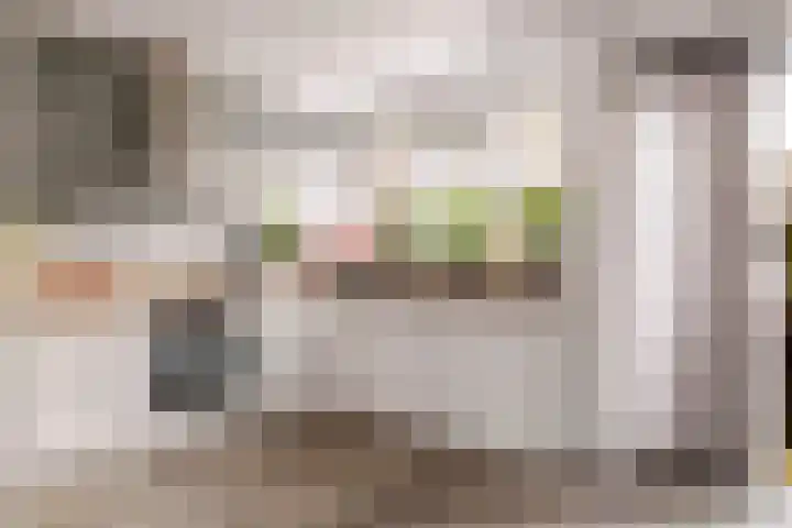 Laan van het Kwekebos 263 Emmen foto 3