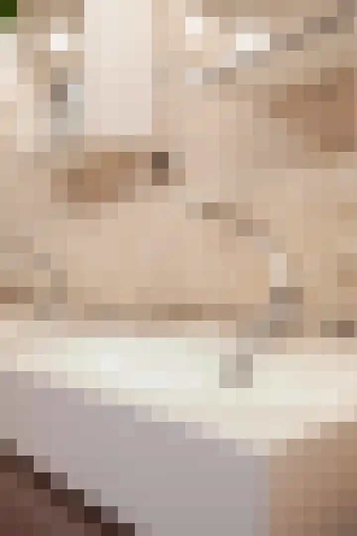 Laan van het Kwekebos 263 Emmen thumbnail 31