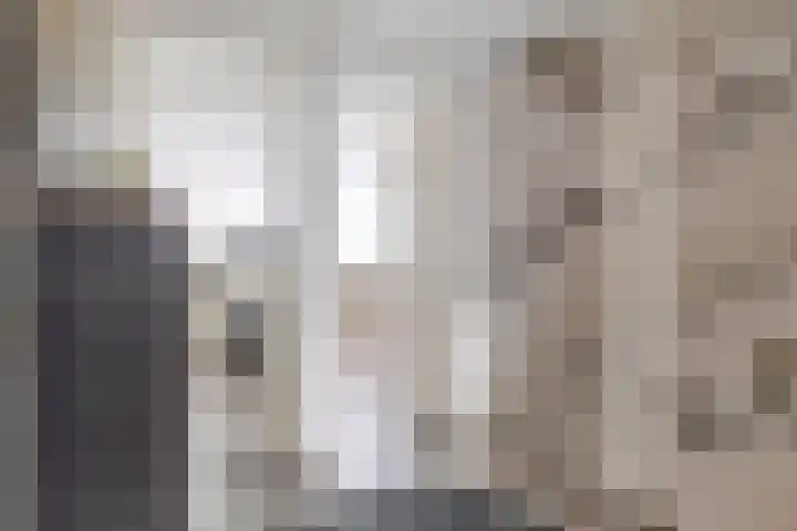 Laan van het Kwekebos 263 Emmen thumbnail 32