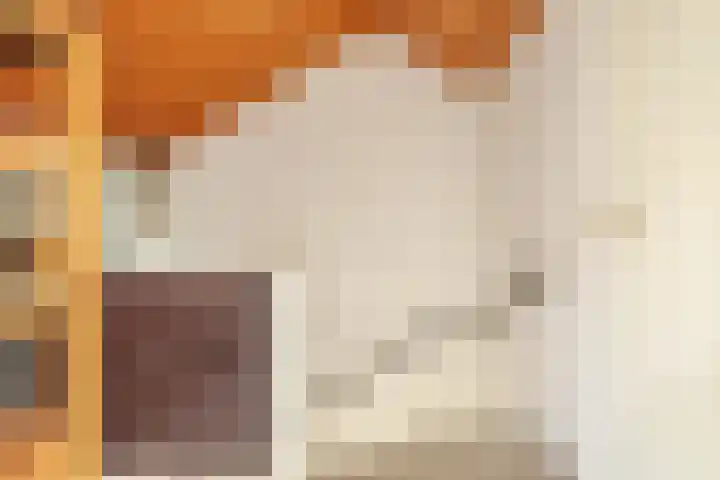 Laan van het Kwekebos 263 Emmen thumbnail 33