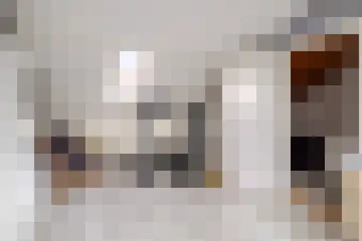 Laan van het Kwekebos 263 Emmen thumbnail 34