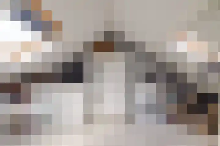 Laan van het Kwekebos 263 Emmen thumbnail 36
