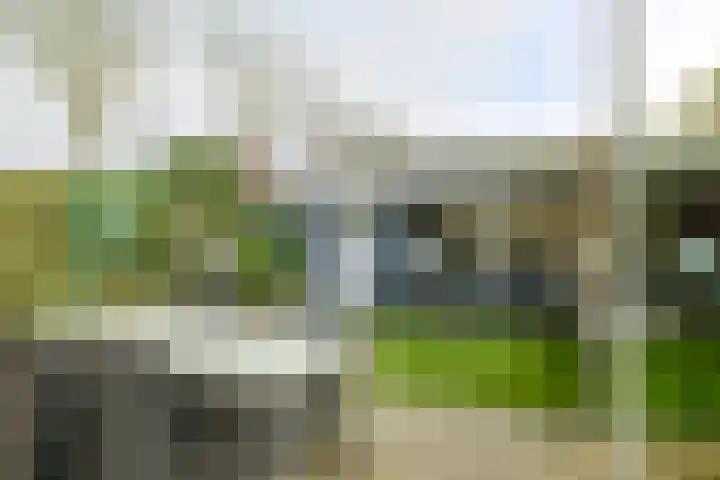 Laan van het Kwekebos 263 Emmen thumbnail 37