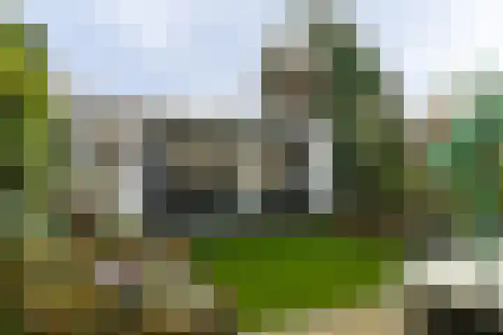 Laan van het Kwekebos 263 Emmen thumbnail 38