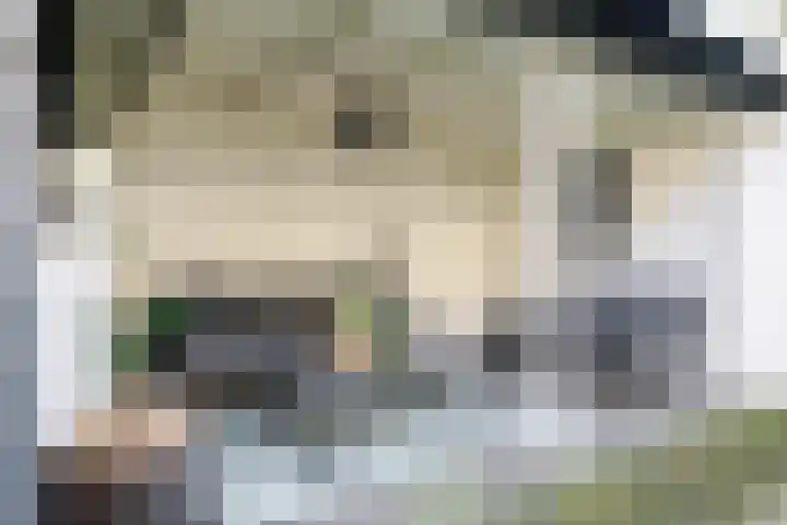 Laan van het Kwekebos 263 Emmen thumbnail 39