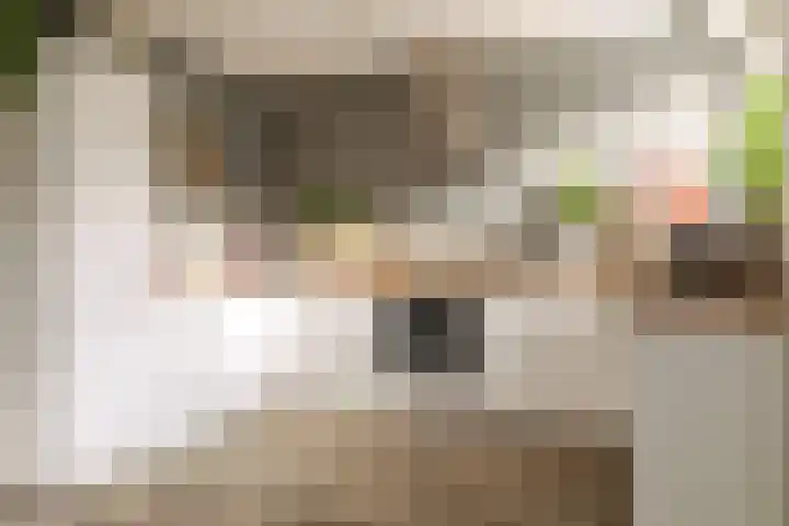 Laan van het Kwekebos 263 Emmen thumbnail 4