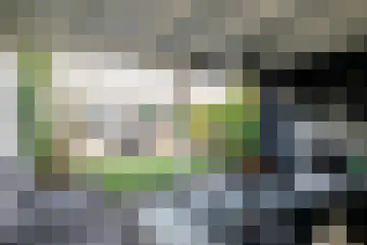 Laan van het Kwekebos 263 Emmen thumbnail 40