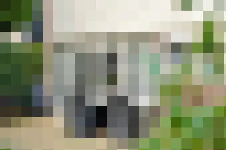 Laan van het Kwekebos 263 Emmen thumbnail 43