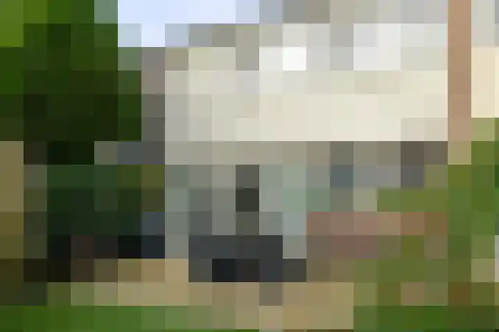 Laan van het Kwekebos 263 Emmen thumbnail 44