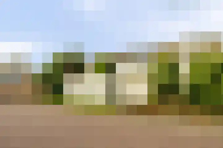Laan van het Kwekebos 263 Emmen thumbnail 46