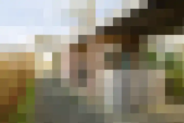 Laan van het Kwekebos 263 Emmen thumbnail 47