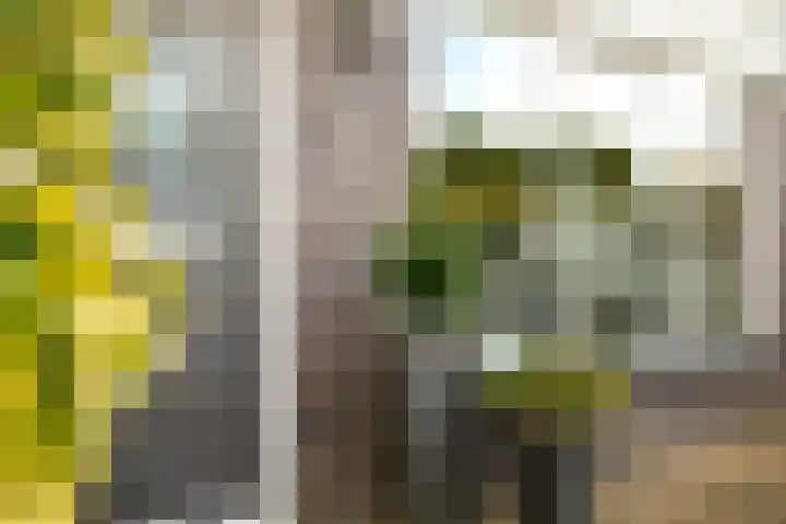 Laan van het Kwekebos 263 Emmen thumbnail 49