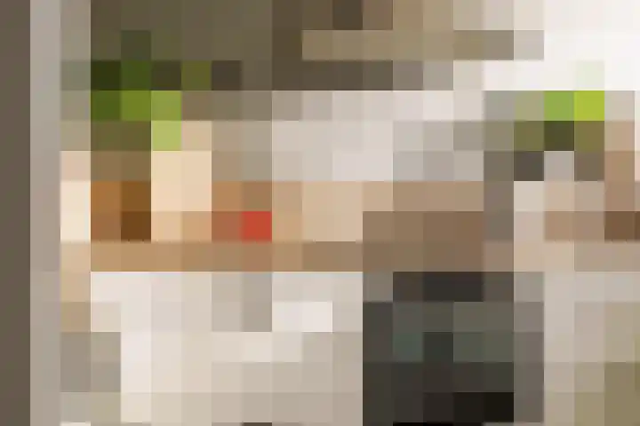Laan van het Kwekebos 263 Emmen thumbnail 5