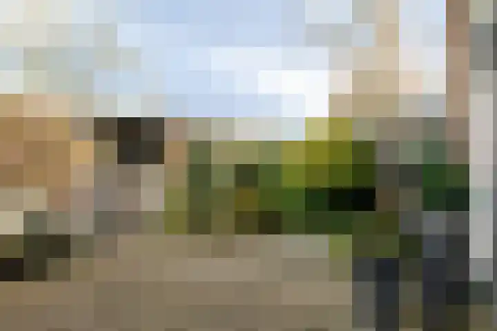 Laan van het Kwekebos 263 Emmen thumbnail 50