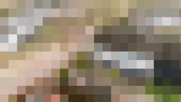 Laan van het Kwekebos 263 Emmen thumbnail 53