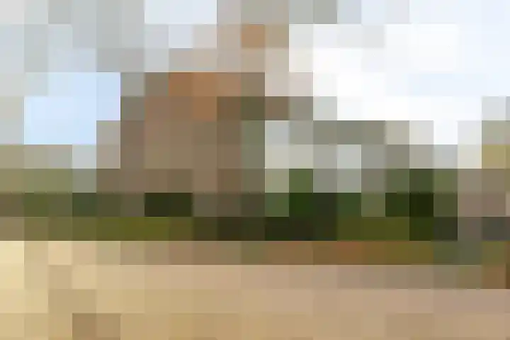 Laan van het Kwekebos 263 Emmen thumbnail 55