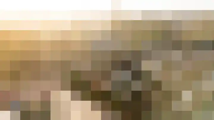 Laan van het Kwekebos 263 Emmen thumbnail 56