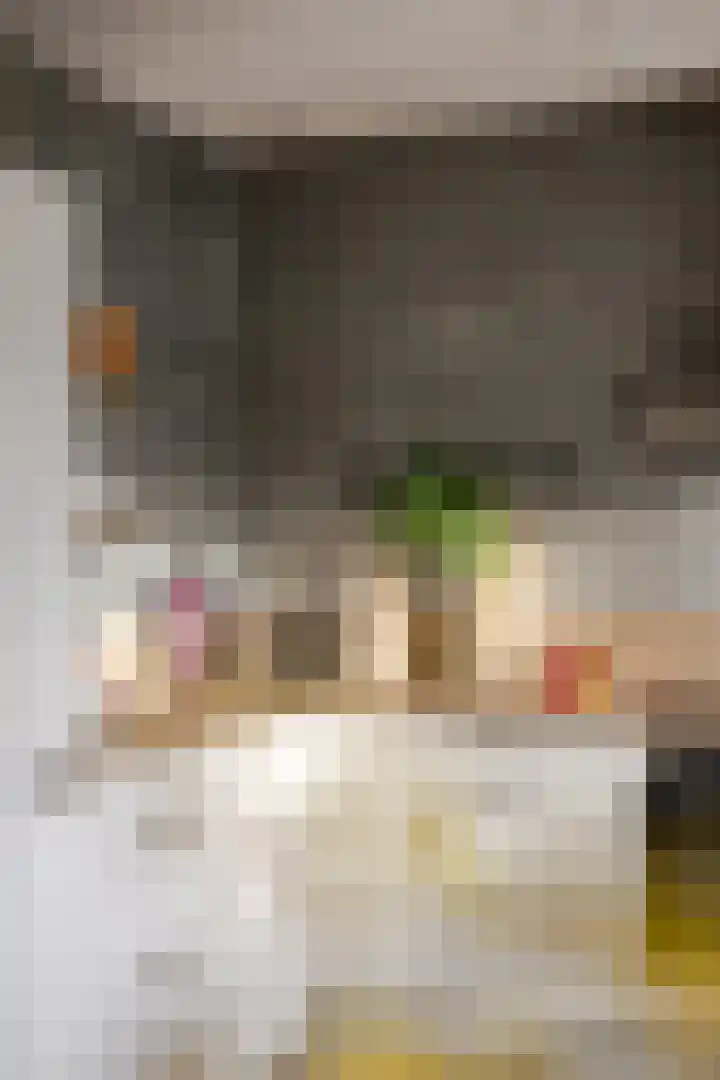 Laan van het Kwekebos 263 Emmen thumbnail 7