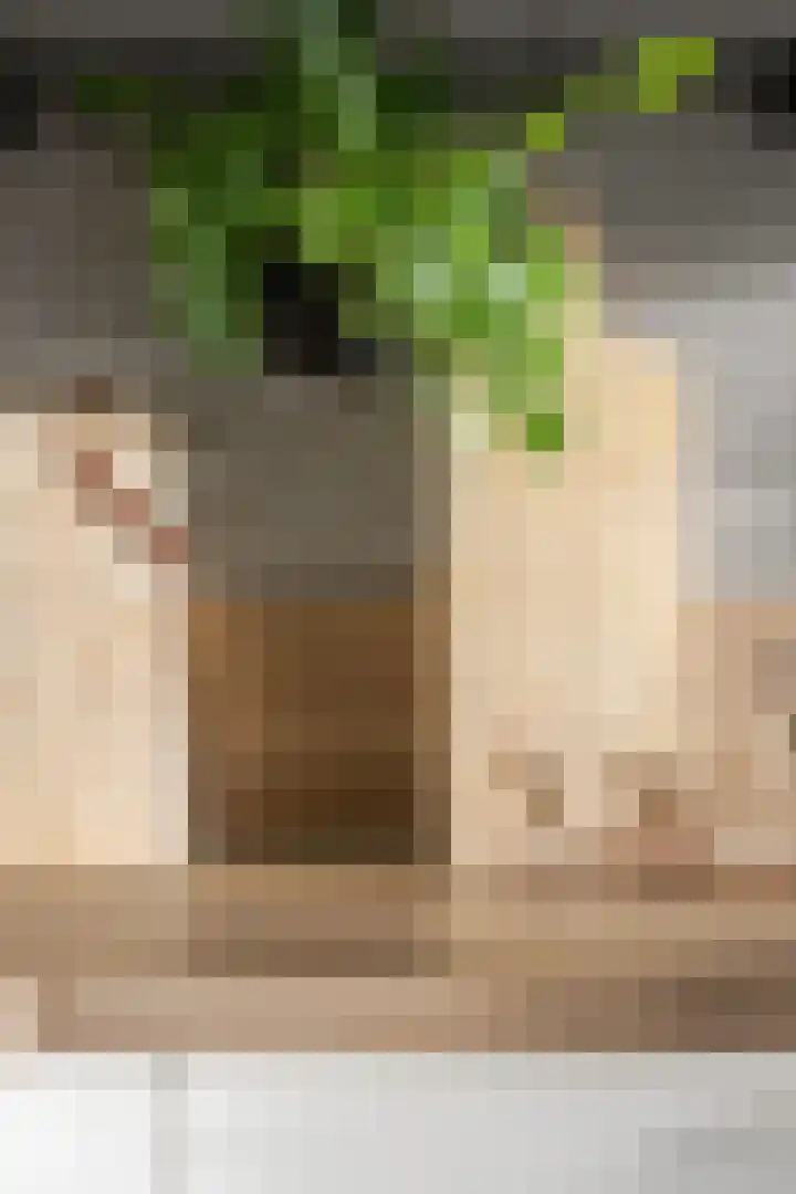 Laan van het Kwekebos 263 Emmen thumbnail 8