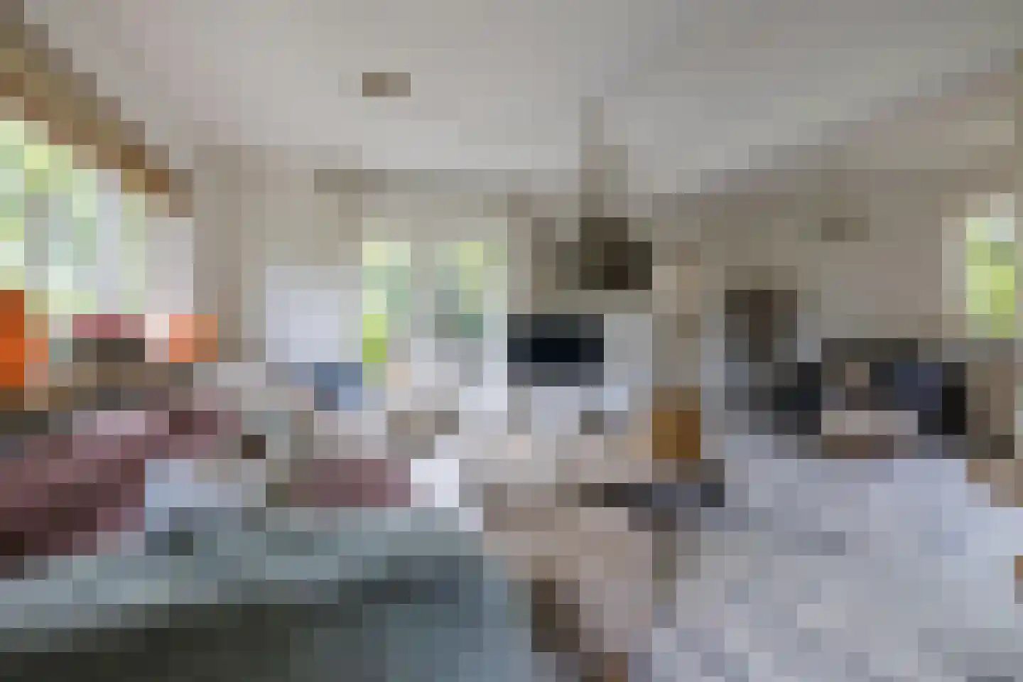 Laan van het Kwekebos 286 Emmen thumbnail 10