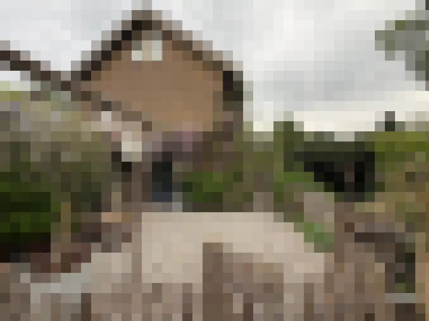Laan van het Kwekebos 286 Emmen thumbnail 10