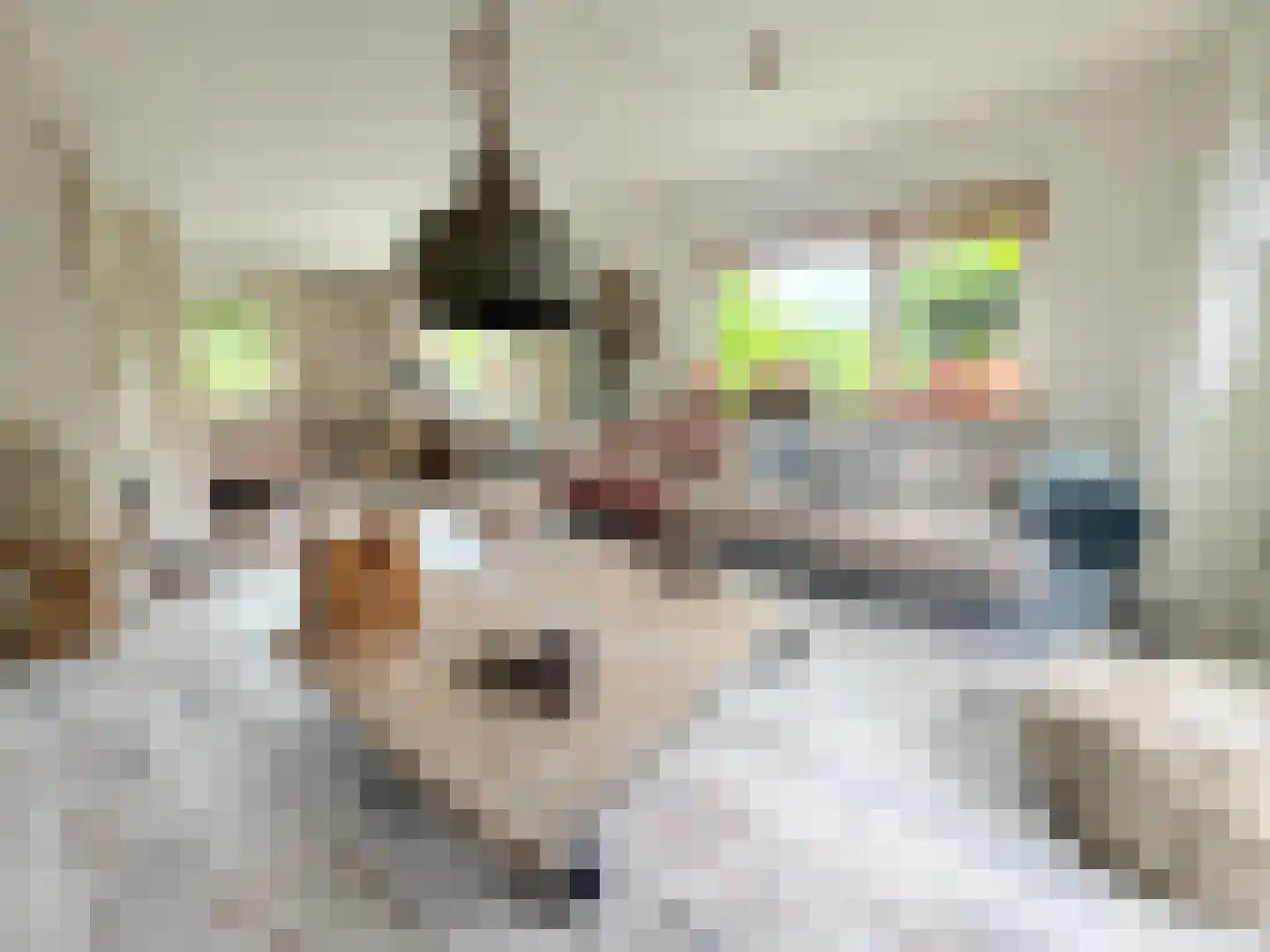 Laan van het Kwekebos 286 Emmen thumbnail 13