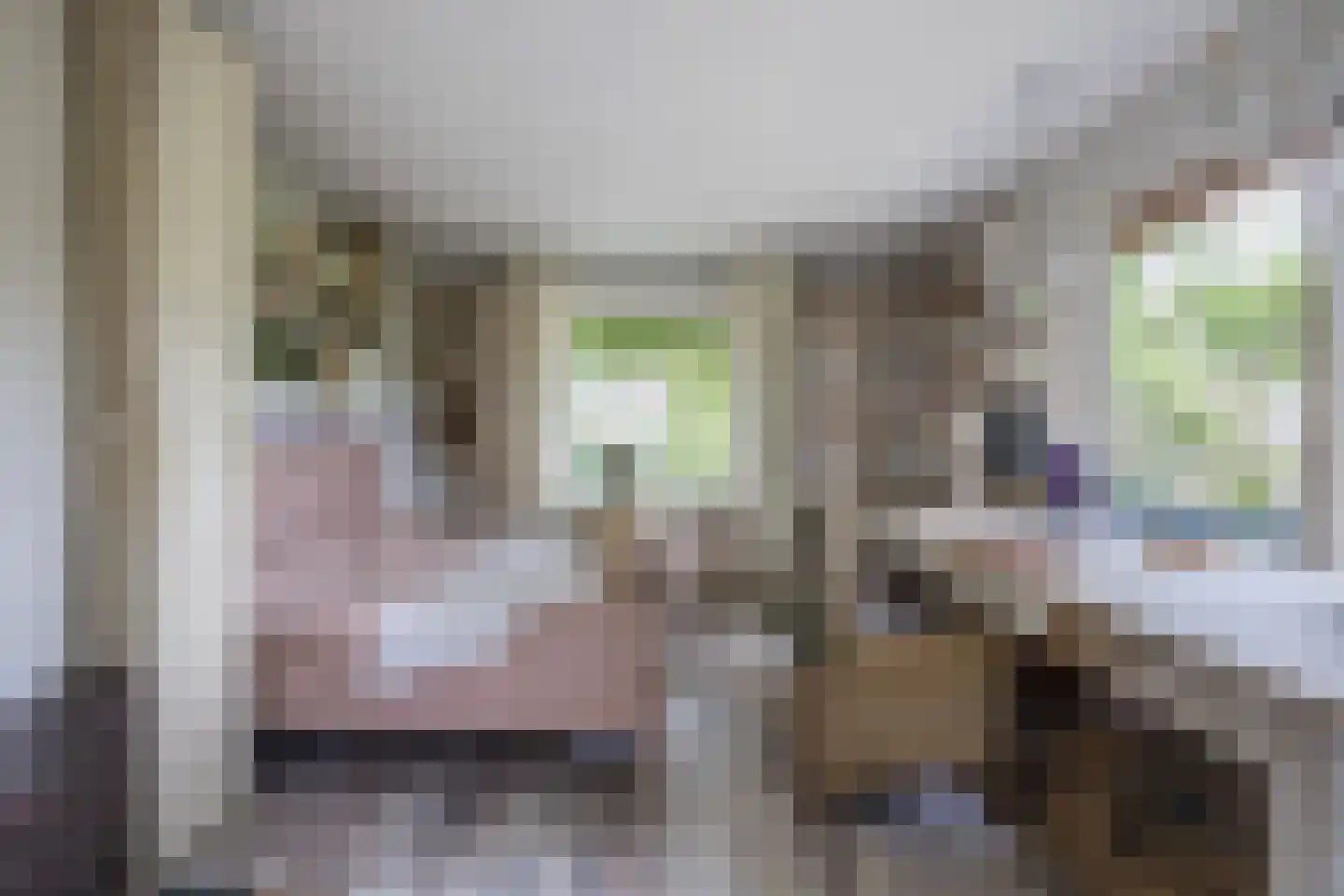 Laan van het Kwekebos 286 Emmen thumbnail 14