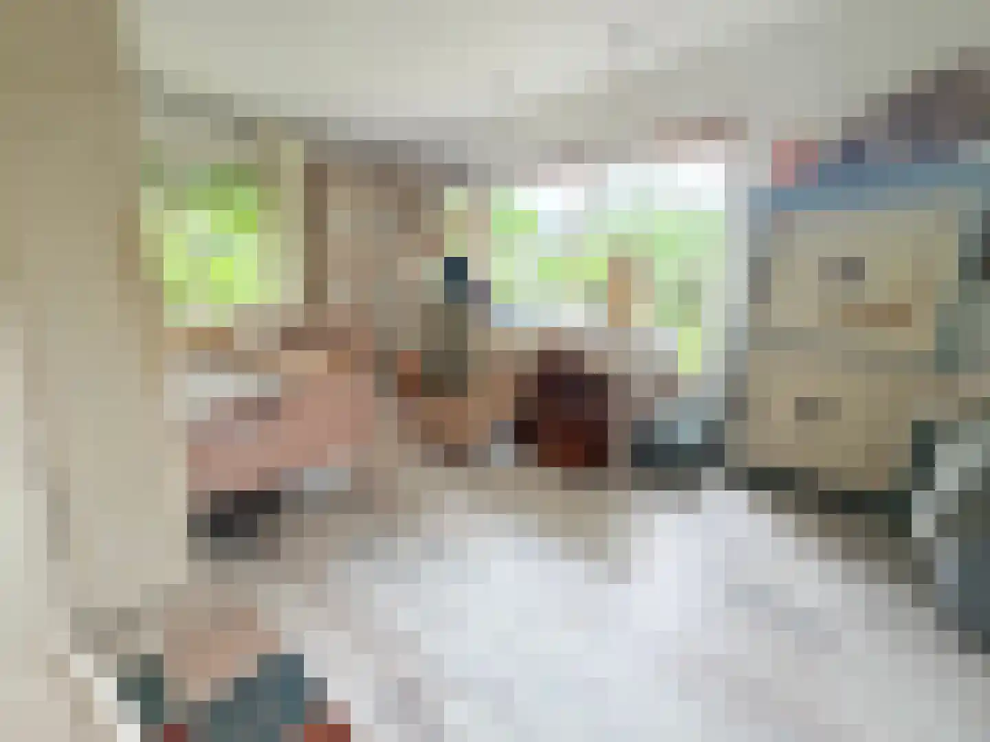 Laan van het Kwekebos 286 Emmen thumbnail 16