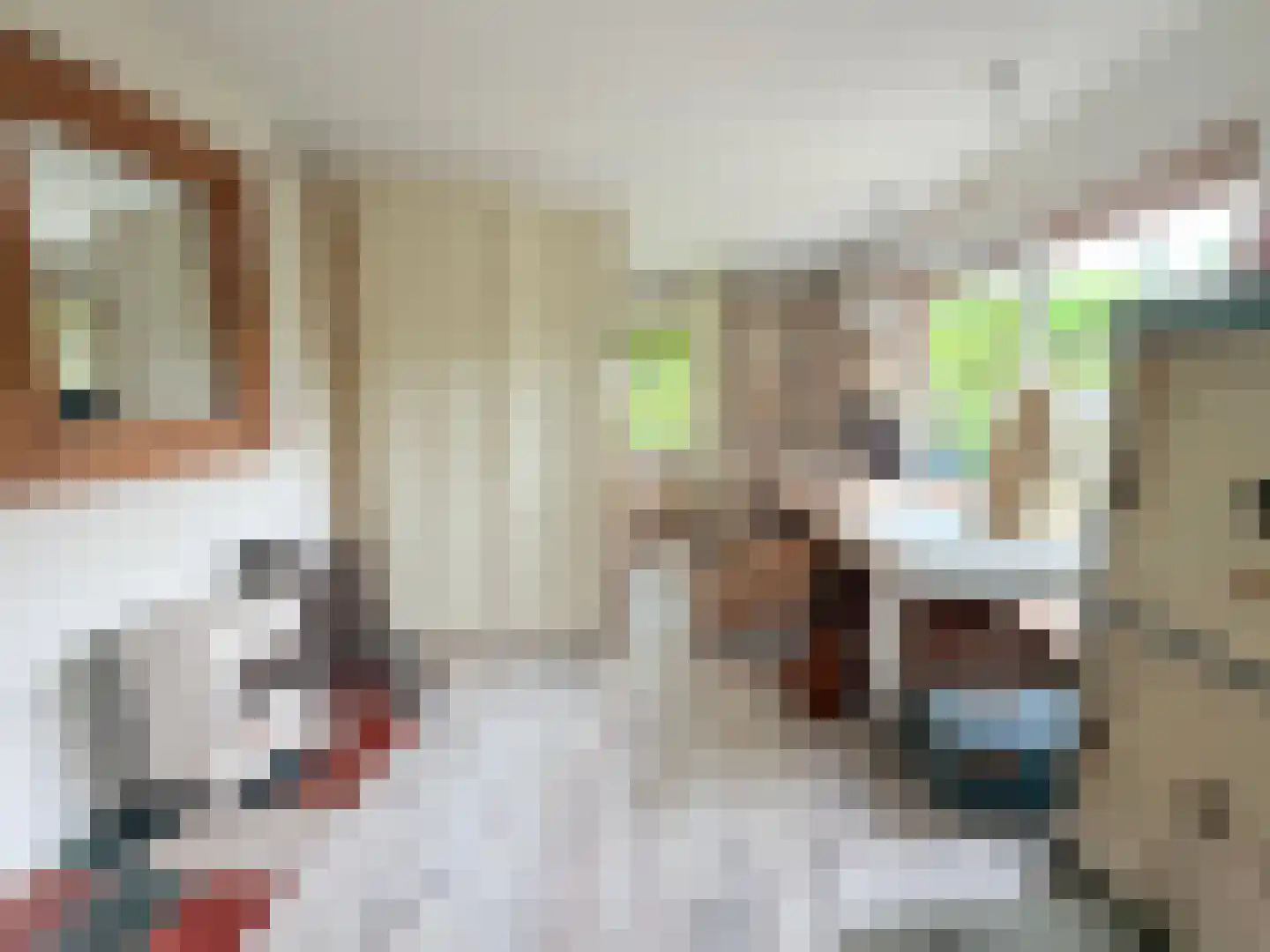 Laan van het Kwekebos 286 Emmen thumbnail 17