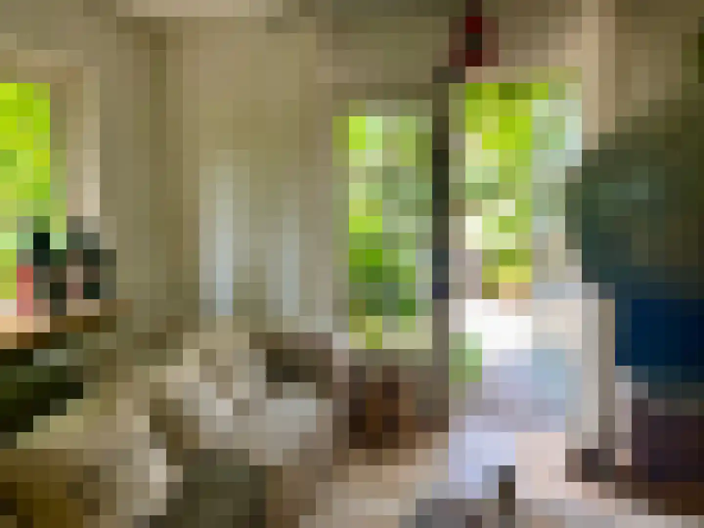 Laan van het Kwekebos 286 Emmen thumbnail 18