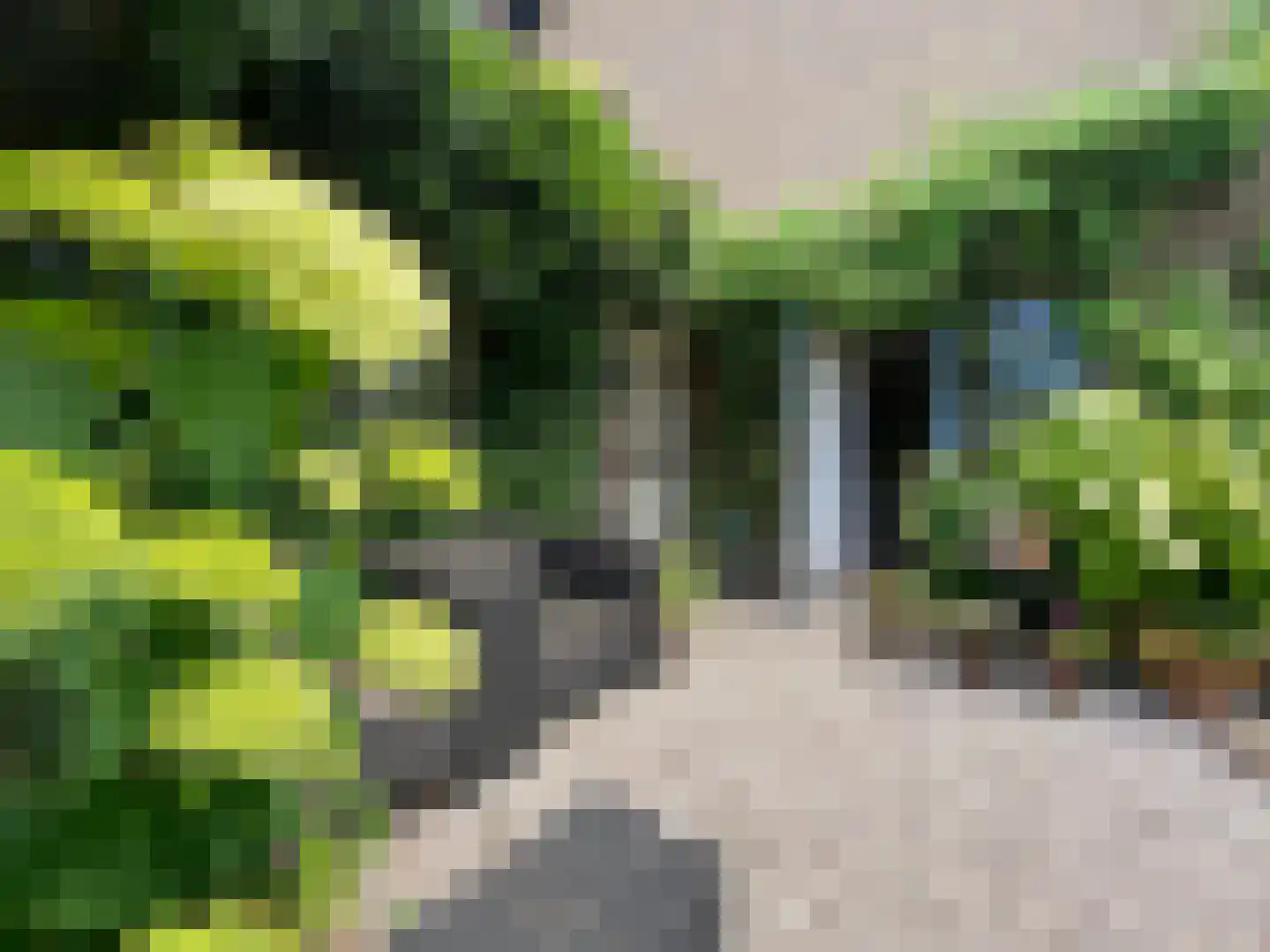 Laan van het Kwekebos 286 Emmen thumbnail 20