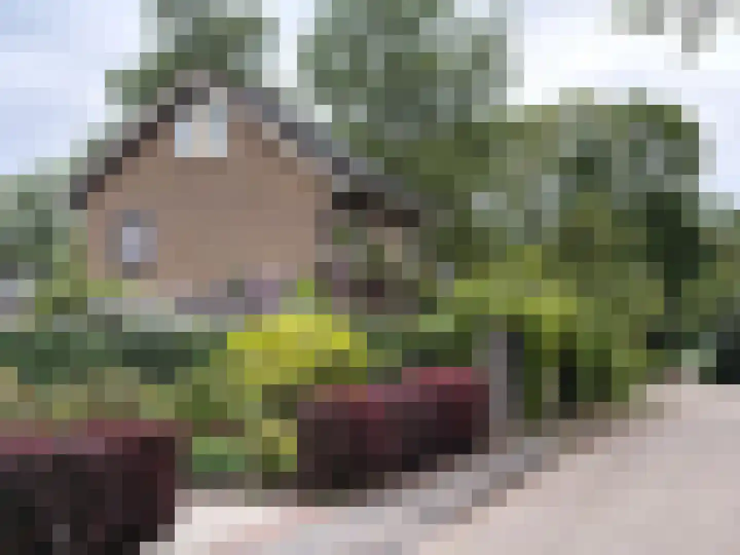 Laan van het Kwekebos 286 Emmen thumbnail 23